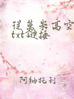从万米高空降临txt链接