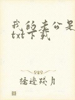 我的老公是冥王txt下载
