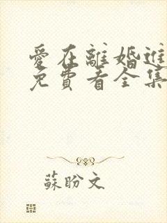爱在离婚进行时免费看全集