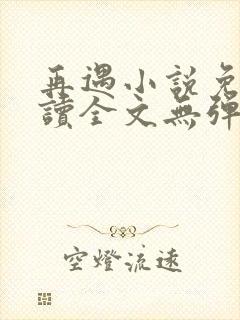 再遇小说免费阅读全文无弹窗
