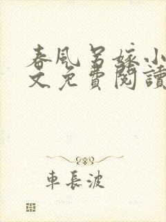 春风另嫁小说全文免费阅读