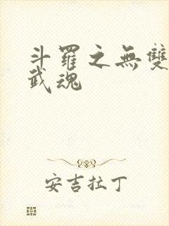 斗罗之无双剑匣武魂