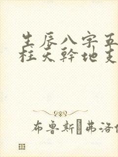 生辰八字五行四柱天干地支相生相克大全
