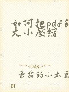 如何把pdf的大小压缩