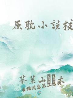 原耽小说校园