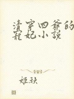清穿四爷的心尖宠妃小说