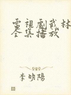 电视剧武林外史全集播放