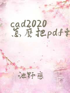 cad2020怎么把pdf转换成cad