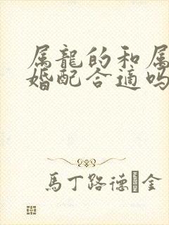 属龙的和属兔的婚配合适吗