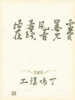 扫毒风暴电视剧在线看免费高清
