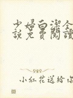 少妇白洁全文小说免费阅读笔趣阁