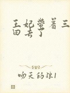 王妃带着三宝种田去了