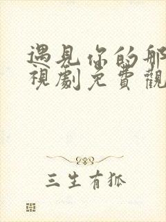 遇见你的那天电视剧免费观看完整版