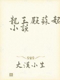 龙王殿苏起免费小说