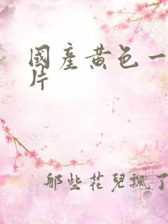 国产黄色一级淫片