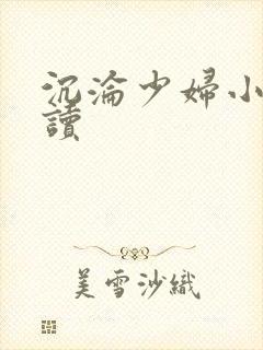 沉沦少妇小说阅读
