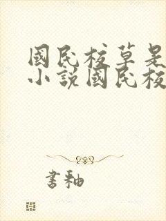 国民校草是女生小说国民校草是女生