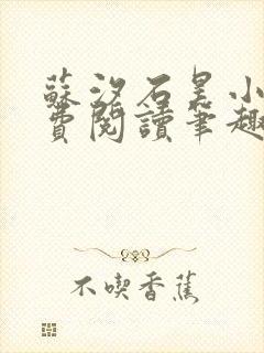 苏汐石昊小说免费阅读笔趣阁