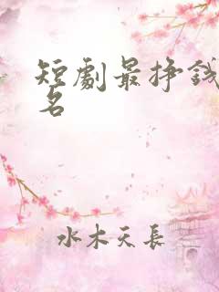 短剧最挣钱第一名