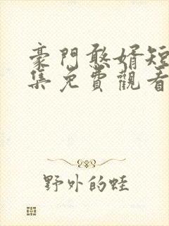 豪门憨婿短剧全集免费观看
