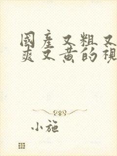 国产又粗又猛又爽又黄的视频,91