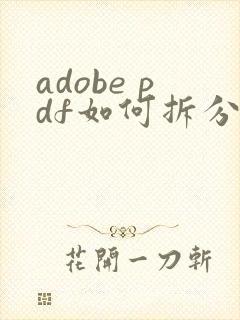 adobe pdf如何拆分成多个文件