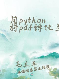 用python将pdf转化为word