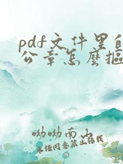 pdf文件里的公章怎么抠出来