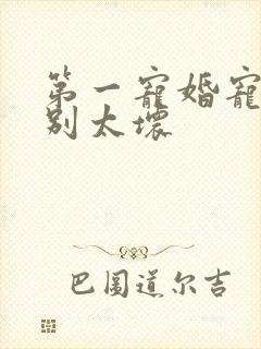 第一宠婚宠总裁别太坏