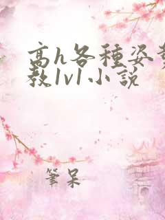 高h各种姿势调教1v1小说