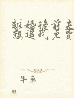 离婚后前夫总是想追我免费版