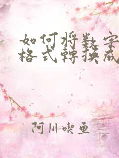 如何将数字大写格式转换成文本