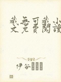 藏无可藏小说全文免费阅读