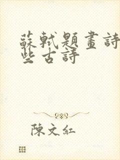 苏轼题画诗有哪些古诗