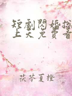 短剧闪婚总裁宠上天免费看