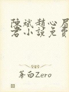 陈斌赵心眉高婉君小说免费阅读