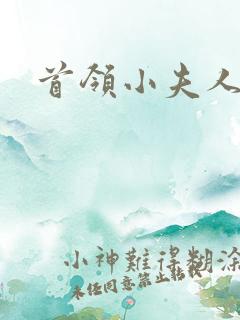 首领小夫人