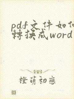 pdf文件如何转换成word文档