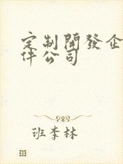 定制开发企业软件公司