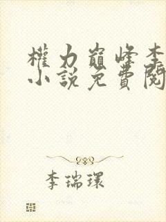 权力巅峰李正安小说免费阅读全文无弹窗