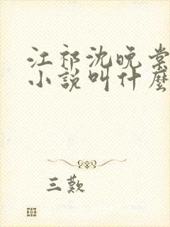 江祁沈晚棠原著小说叫什么