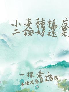 小麦种植底肥施二铵好还是复合肥好