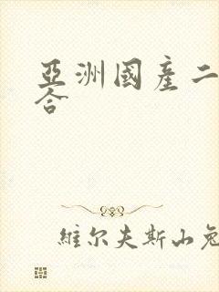 亚洲国产二区综合