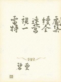 电视连续剧我的特一营全集完整版