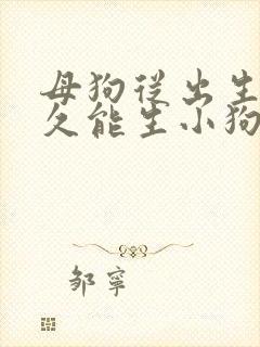 母狗从出生长多久能生小狗