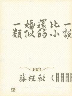 一婚还比一婚高类似的小说
