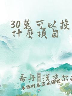 30万可以投资什么项目
