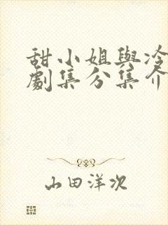 甜小姐与冷先生剧集分集介绍