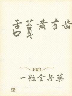 舌苔黄有齿痕有口臭