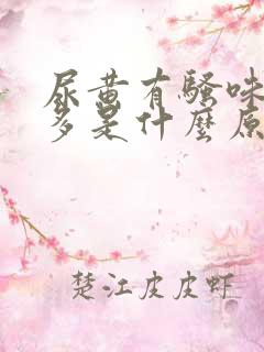 尿黄有骚味泡沫多是什么原因